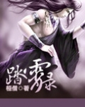踏霄录