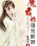魔君的顽皮新娘