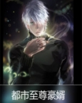 都市至尊豪婿