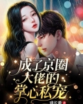 替嫁后,成了京圈大佬的掌心私宠
