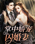 掌中娇宠闪婚妻