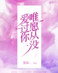 唯愿从没爱过你
