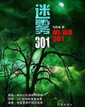 迷雾301