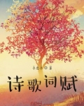 诗歌词赋