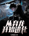 从弃龙开始进化