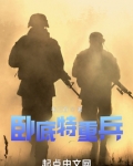 卧底特重兵