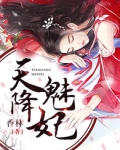 天降魅妃