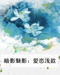 暗影魅影:爱恋浅歆