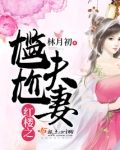红楼之尴尬夫妻