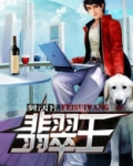 翡翠王