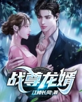 战尊龙婿