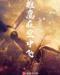 雏鹰在空中飞