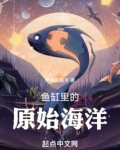鱼缸里的原始海洋