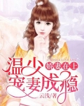 娇妻在上:温少宠妻成瘾