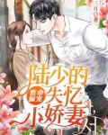 致命偏宠:陆总的失忆小甜妻
