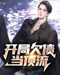 开局欠债当顶流