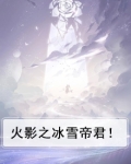 火影之冰雪帝君！