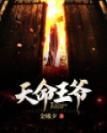 天命王爷