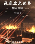 我在废土世界加点升级