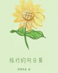 旅行的向日葵