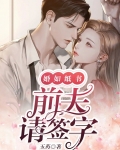 婚如纸书,前夫请签字