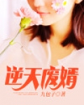 逆天废婿
