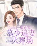 一胎五宝:慕少追妻火葬场