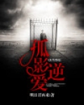 孤影逆爱