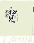 不若初见