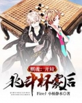 棋魂：开局北斗杯赛后