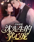 替嫁暖婚:沈先生的掌心宠