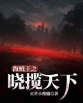 海贼王之晓揽天下