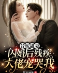 替嫁甜妻:闪婚后残疾大佬宠哭我