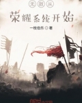 无敌从荣耀系统开始
