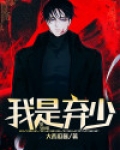 我是弃少