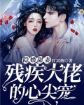 隐婚甜妻,残疾大佬的心尖宠