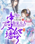 帝君,你家夫人又爬墙了