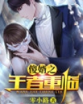 傻婿之王者重临