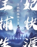 王妃的捕快生涯