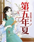 第五年夏