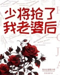 少将抢了我老婆后