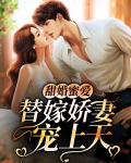 甜婚蜜爱:替嫁娇妻宠上天