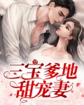 三宝爹地甜宠妻