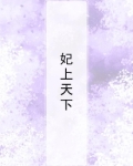 妃上天下