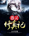 器灵修真记