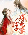 重生公子谋宠妻