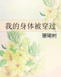 我的身体被穿过