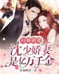 闪婚错爱:沈少娇妻是亿万千金