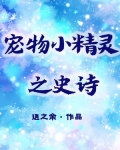 宠物小精灵之史诗
