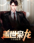 盖世枭龙